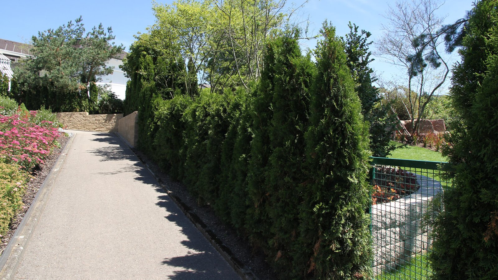 14_Harmonischer_Familiengarten60_laufband