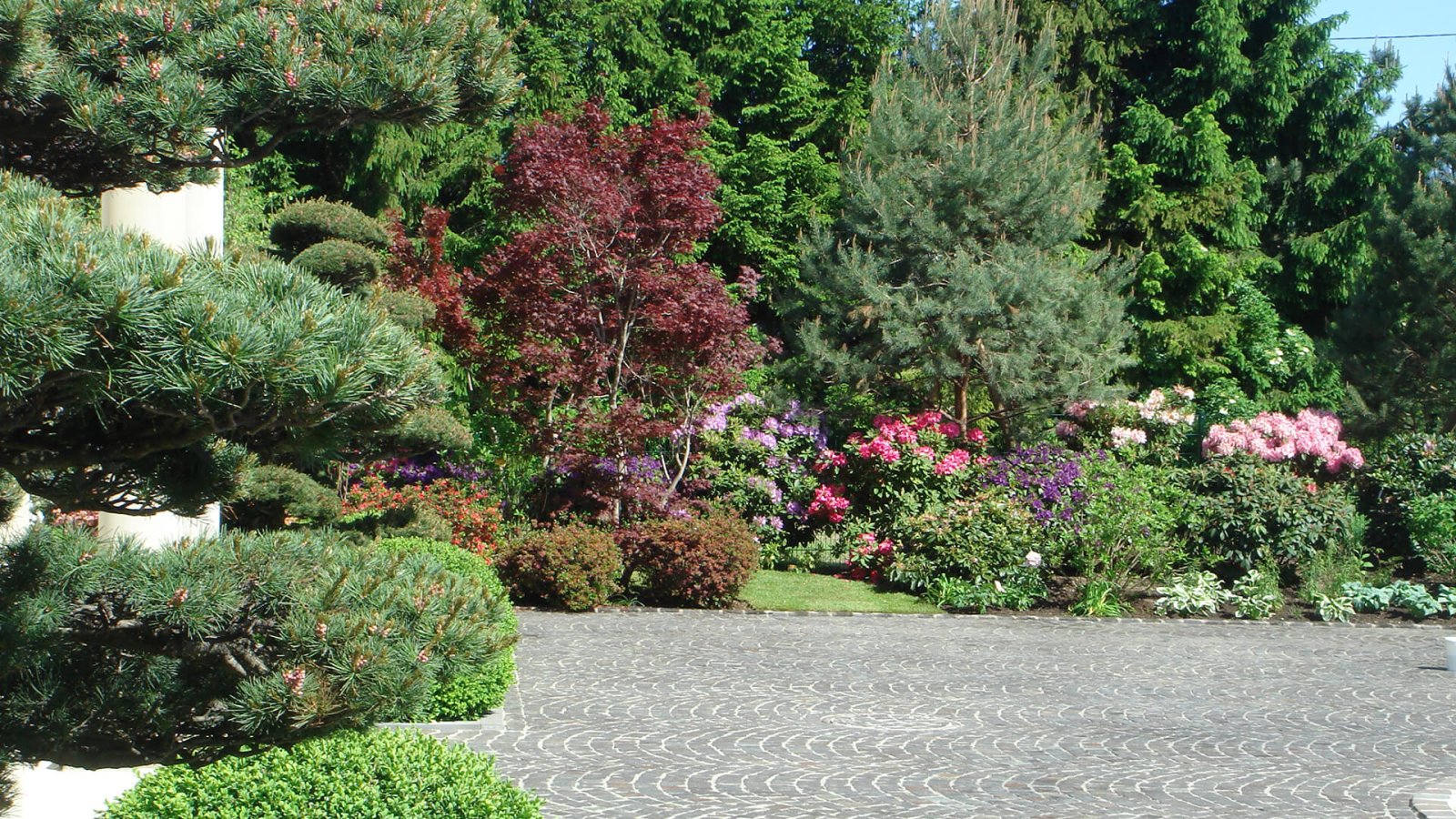 8_Villengarten12_Laufband