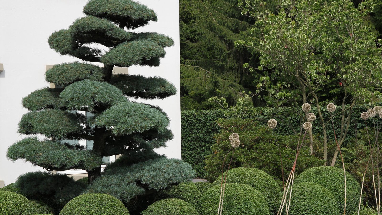 8_Villengarten14_Laufband