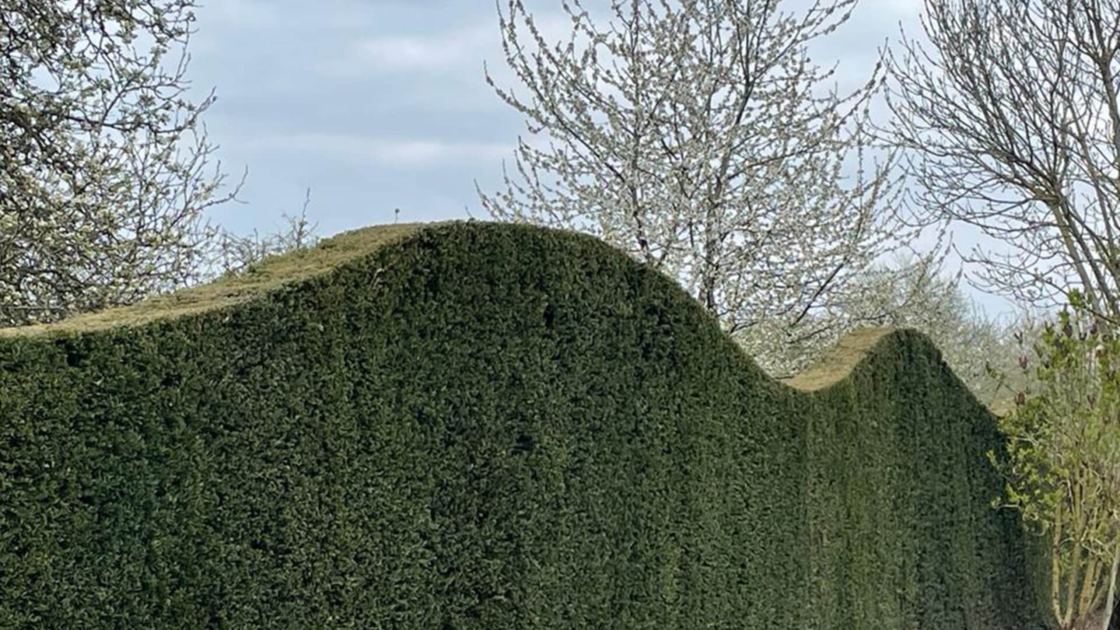 8_Villengarten9_Laufband