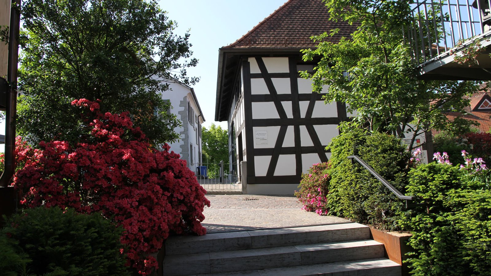 9_ Urlaubsdomizil_im_Paradies29_Laufband