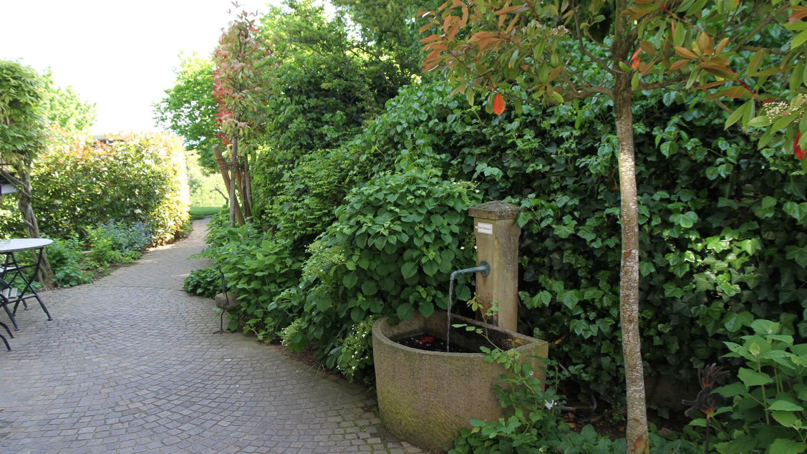 9_ Urlaubsdomizil_im_Paradies33_Laufband