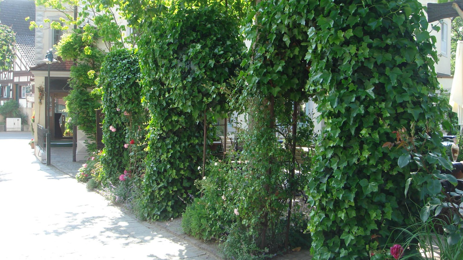 9_ Urlaubsdomizil_im_Paradies51_Laufband