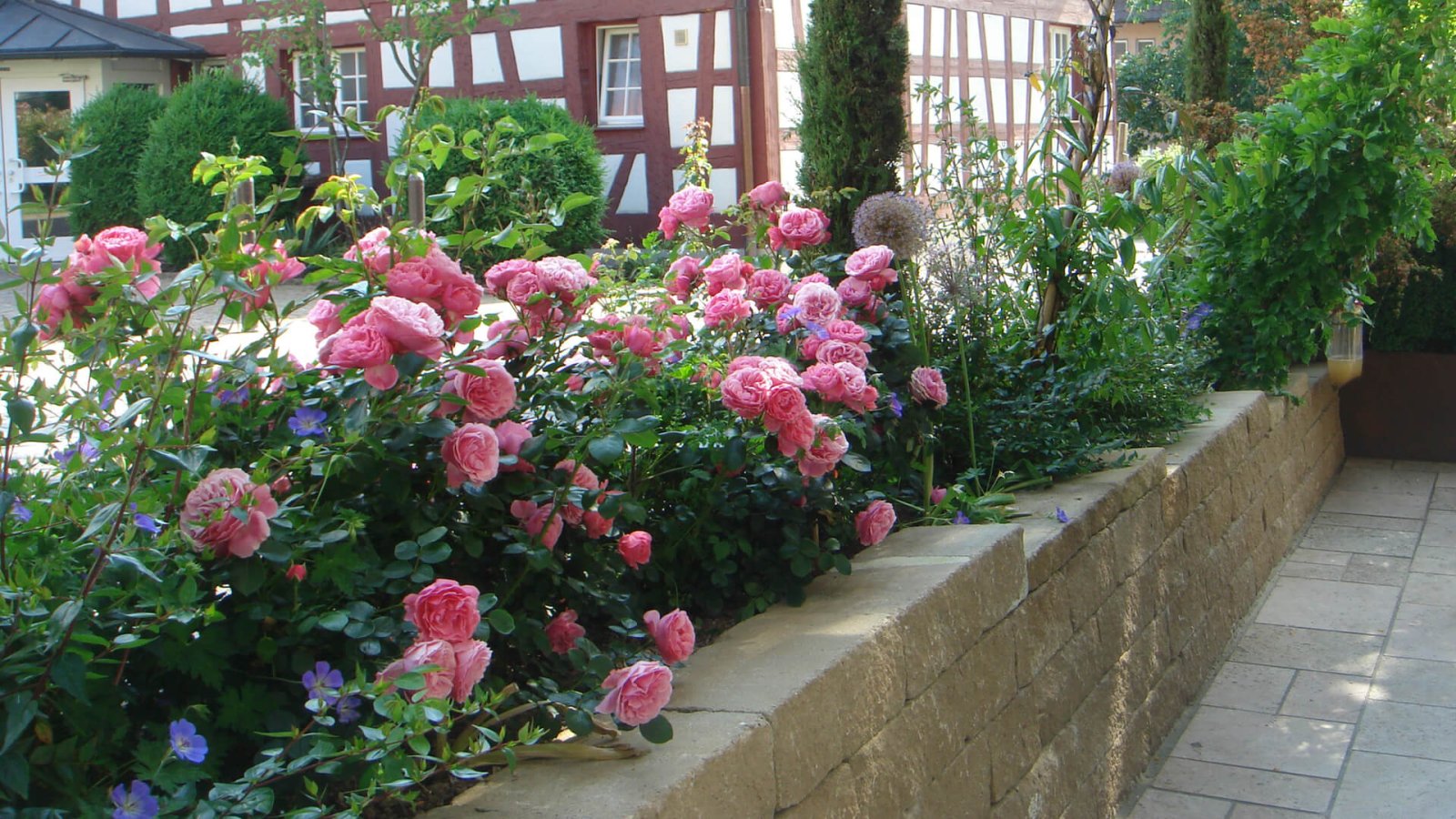 9_ Urlaubsdomizil_im_Paradies54_Laufband